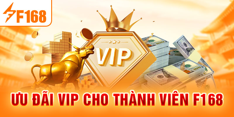 Đặc quyền VIP cho hội viên